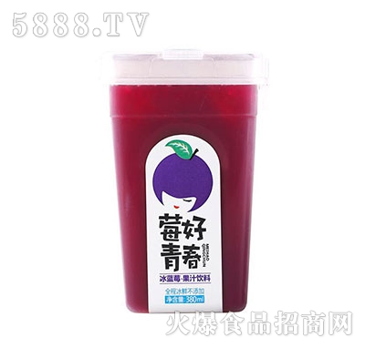 ӿ{(ln)ݮ֭380ml