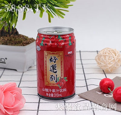 好運(yùn)到山楂汁果汁飲料310ml