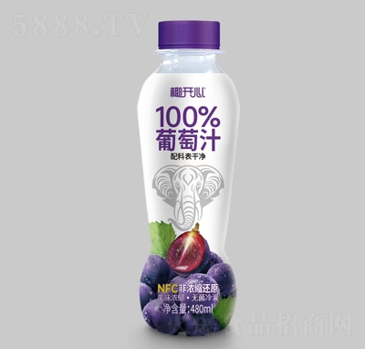 Ҭ_(ki)֭480ml