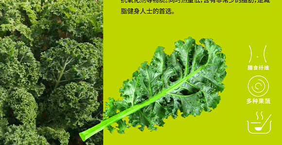 V|۵xƷ\(yn)I(yng)޹˾-߮(c)_12